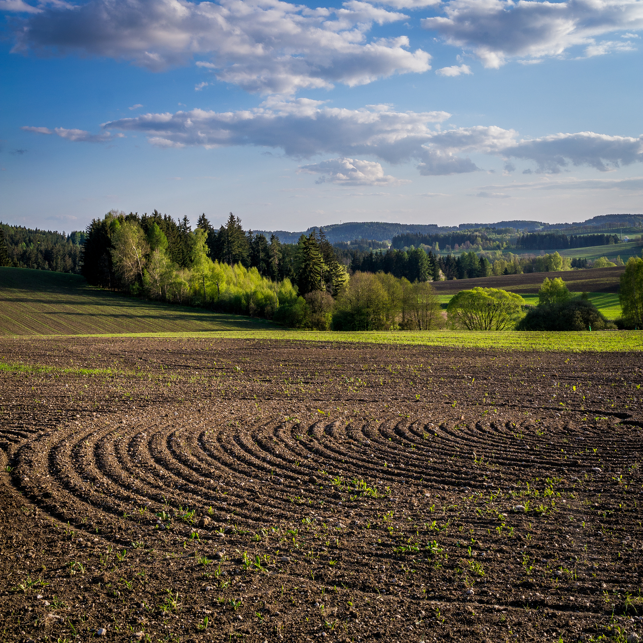 植被覆盖度：评估植被状况的关键指标