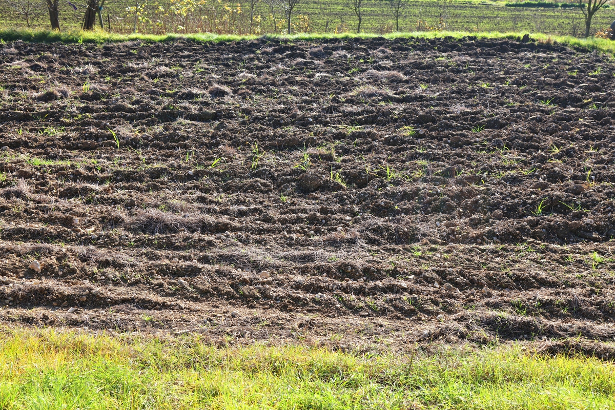 等高地埂的优势：比降地埂更优选择？