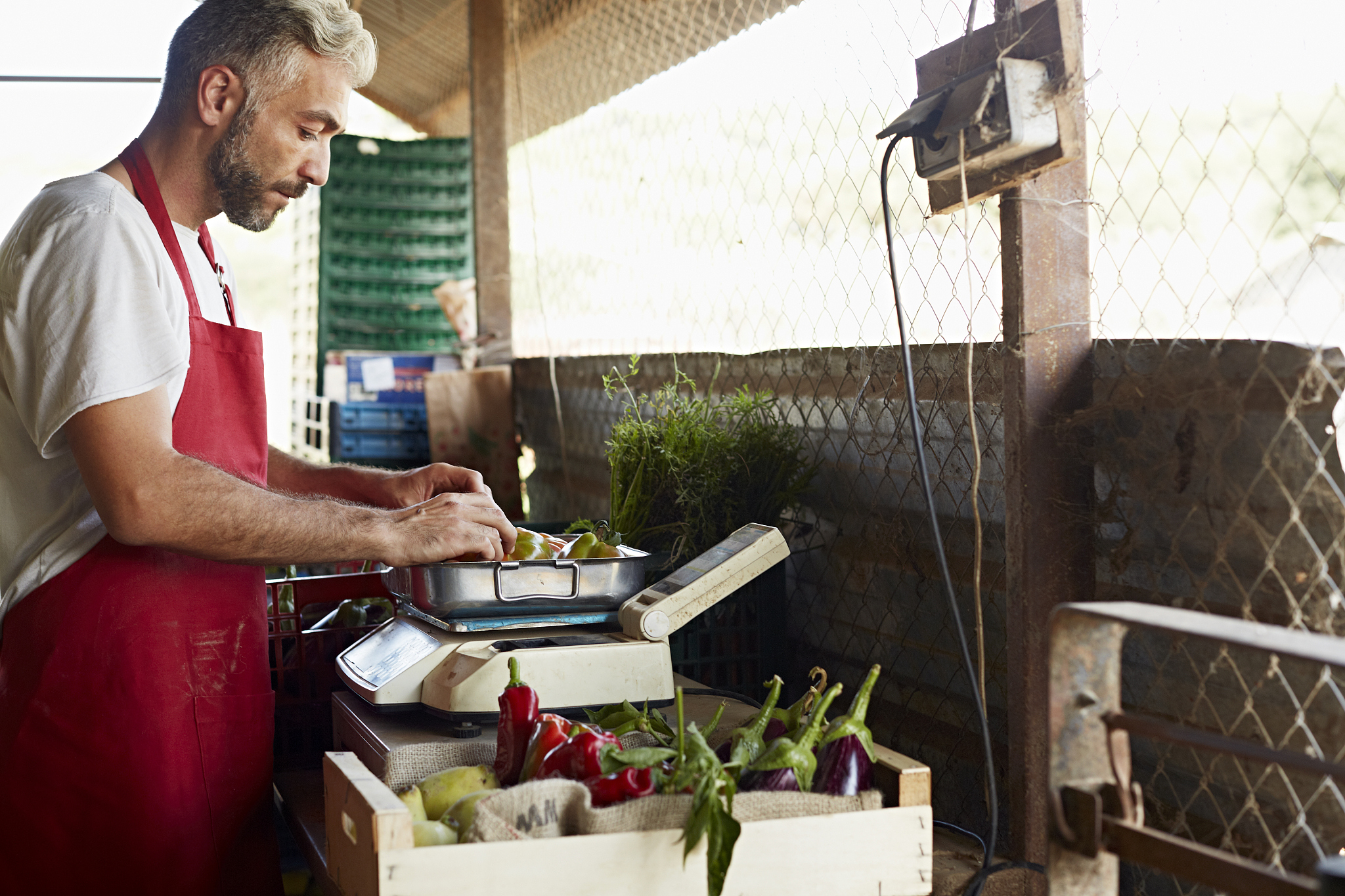 辽宁农业职业技术学院连锁经营管理专业怎么样？优势和劣势分析