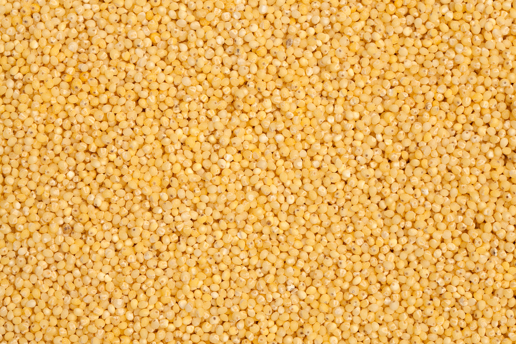 millet