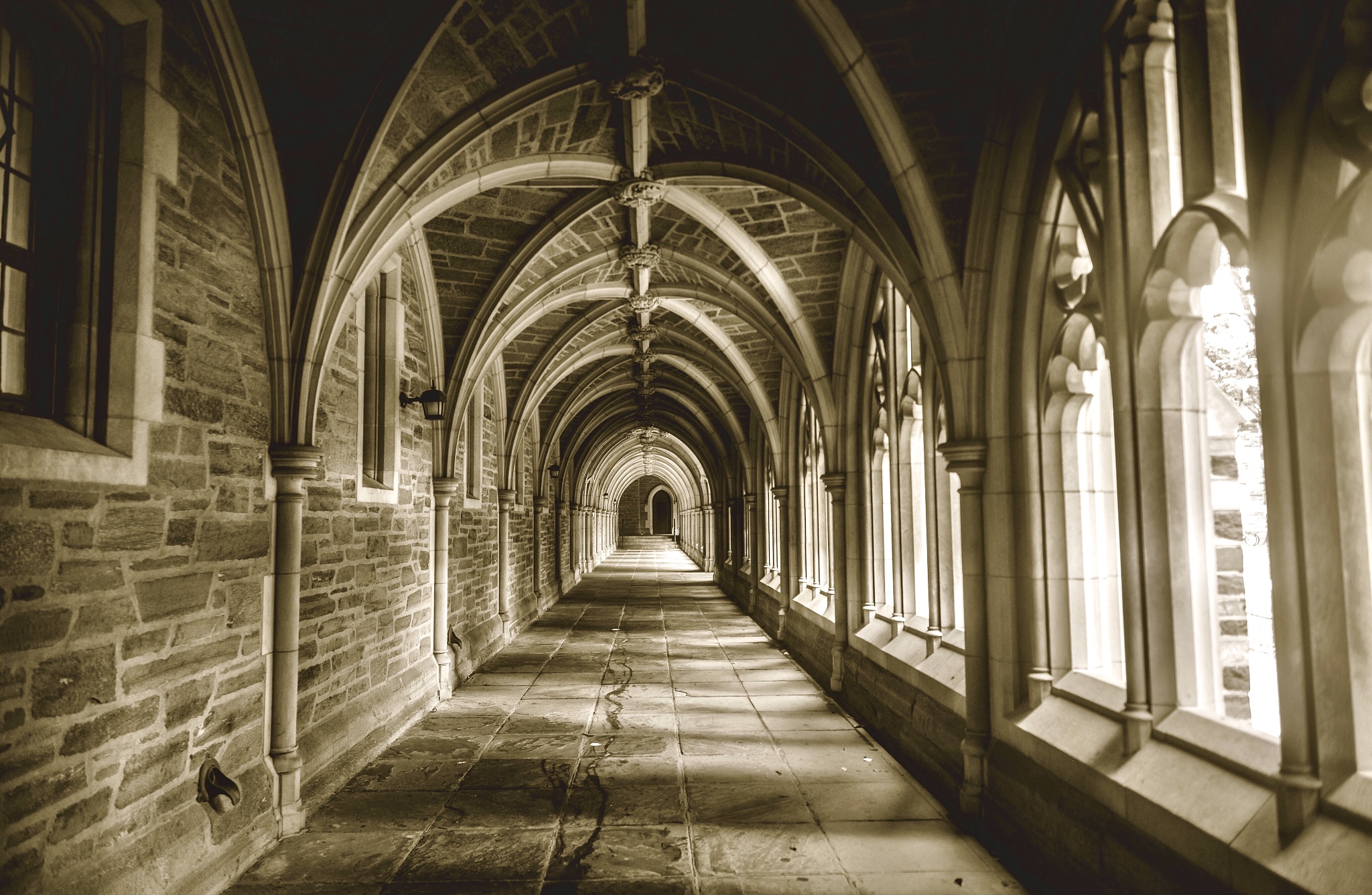 世界上最好的大学是什么