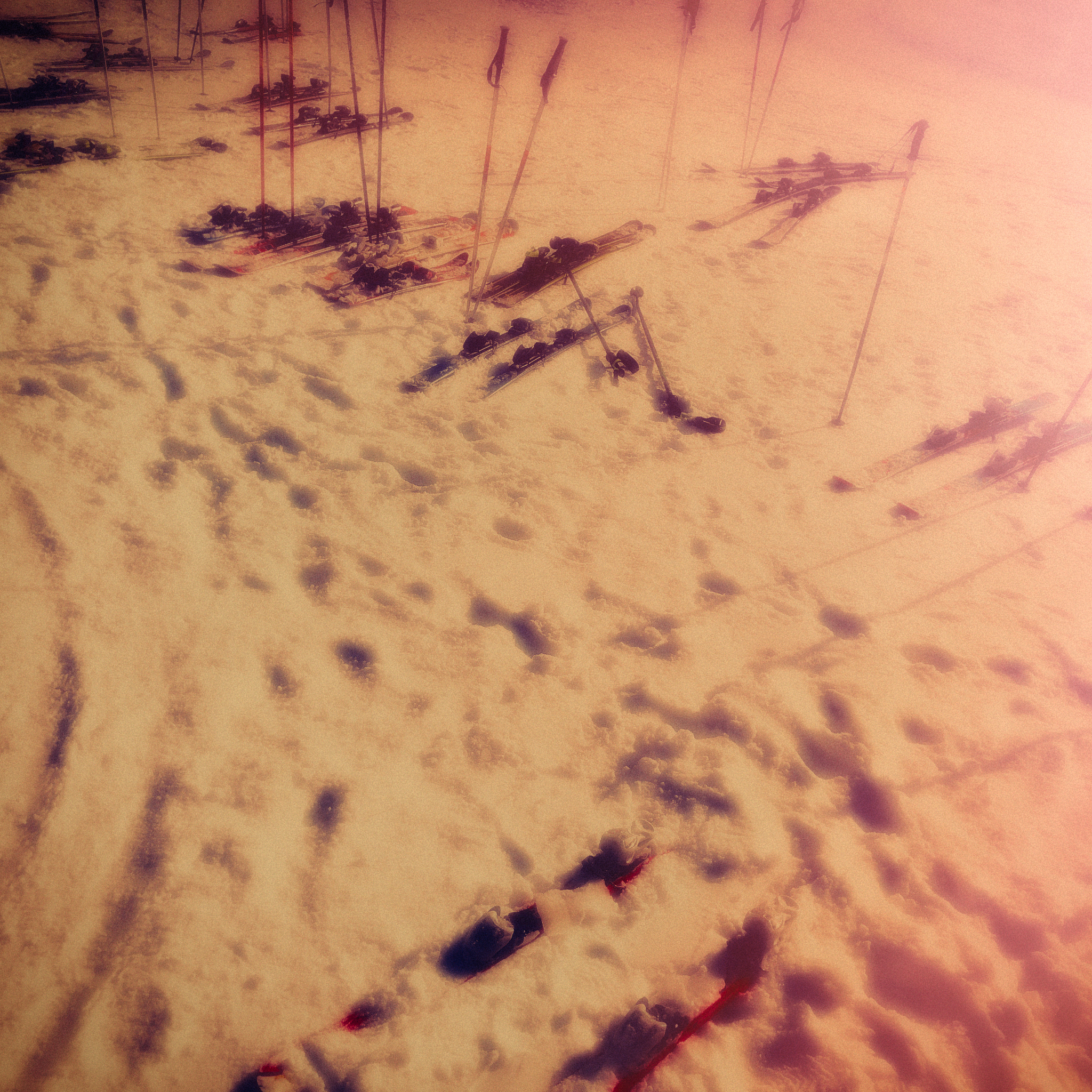 瘰疬分枝杆菌的致病性