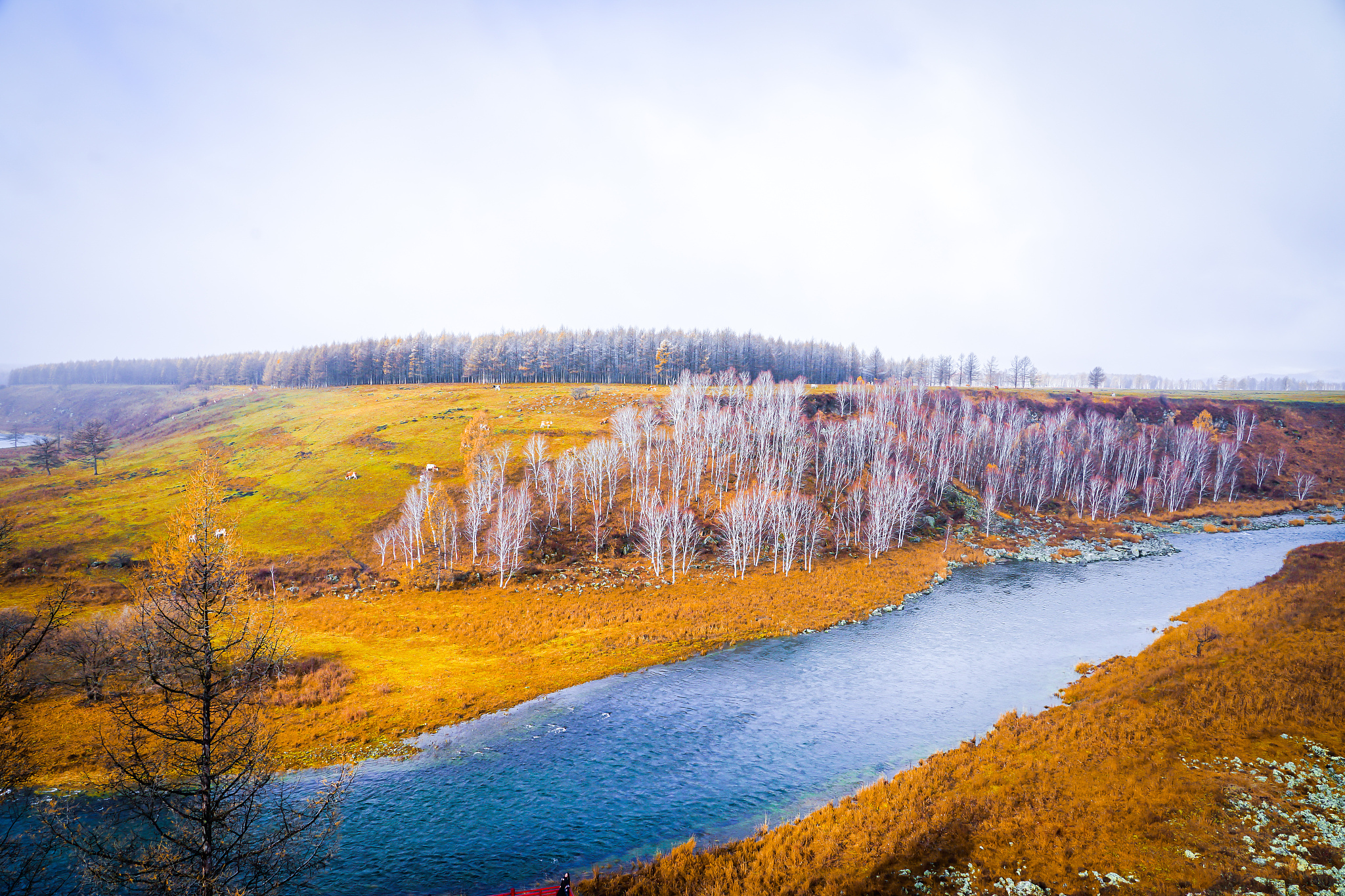 兴安盟：内蒙古北部资源宝库，旅游胜地