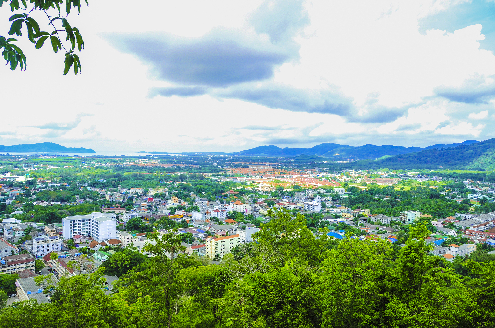 top view of town and forest from viewpoint.