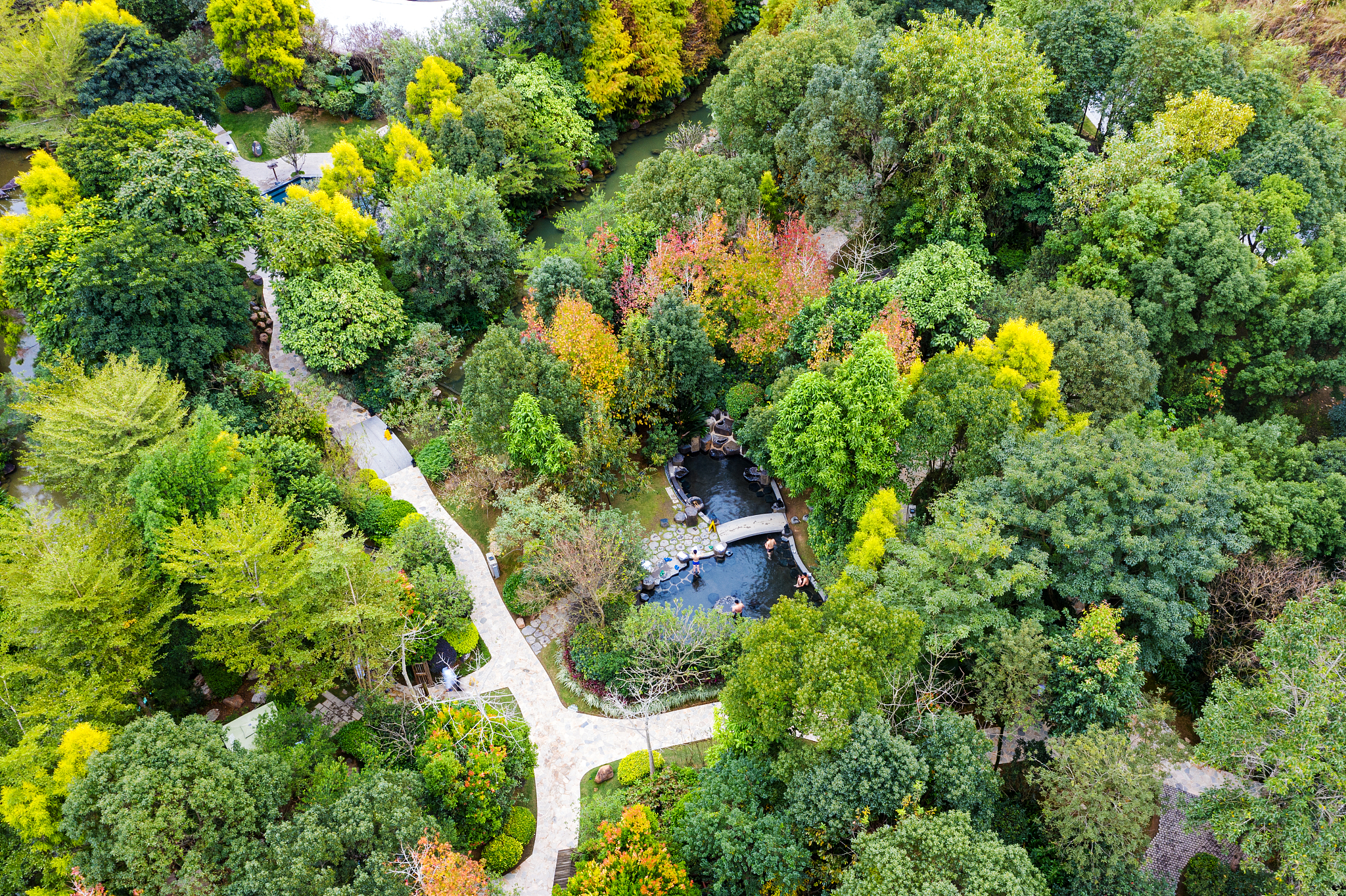 森林旅游研究: 热门主题与最新趋势