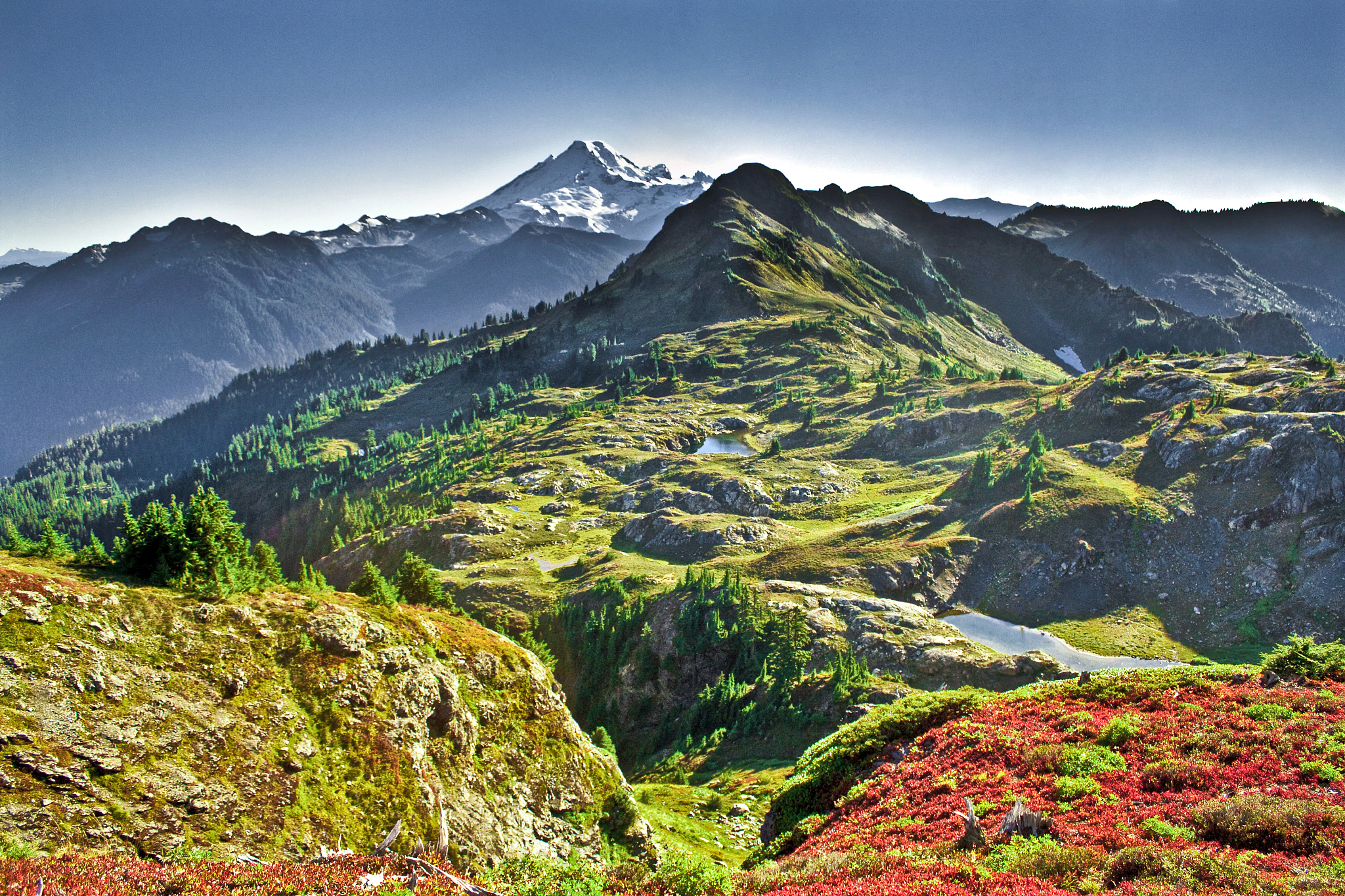 paradise landscape