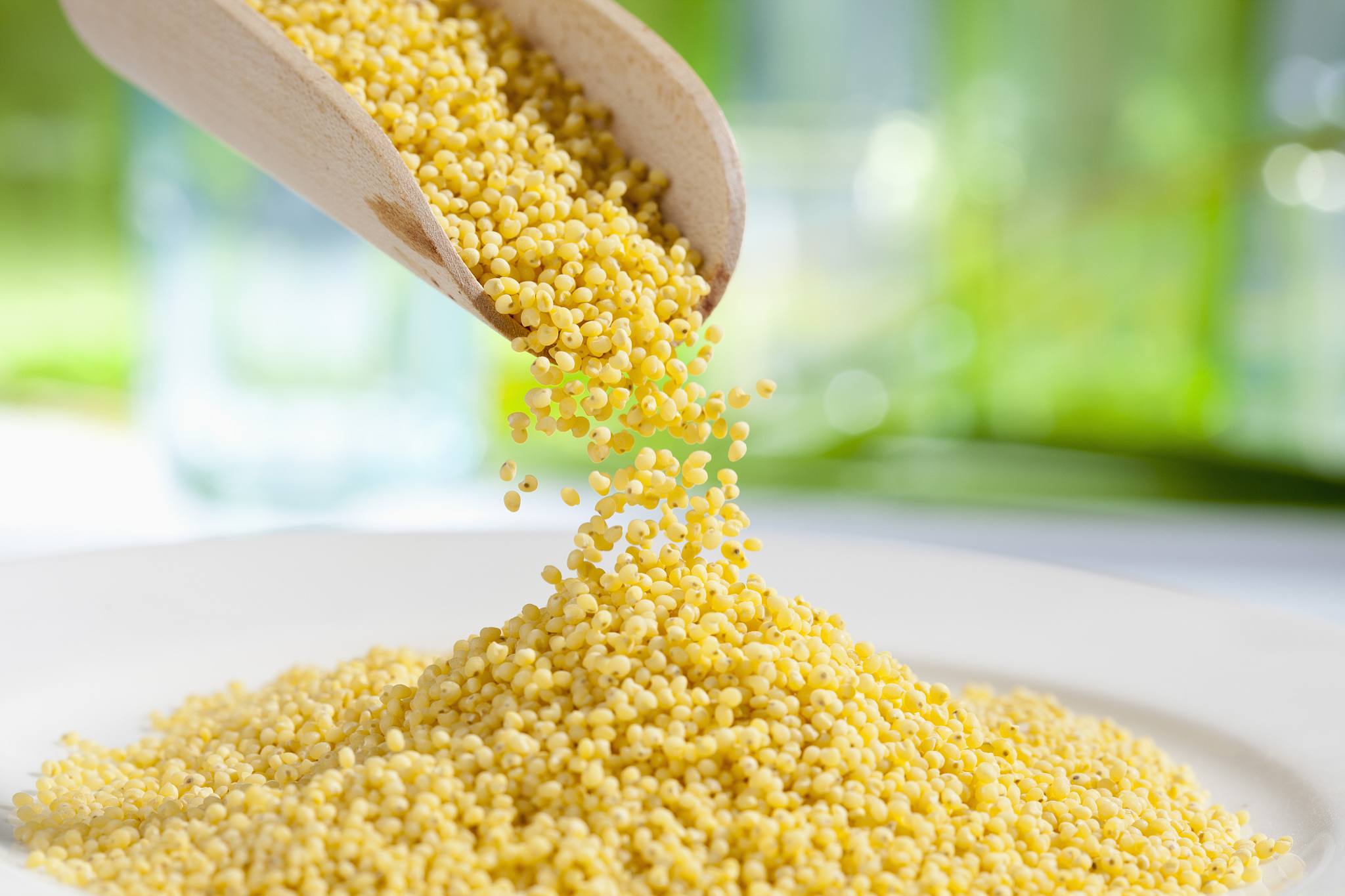 millet seeds pouring from wooden scoop, close up