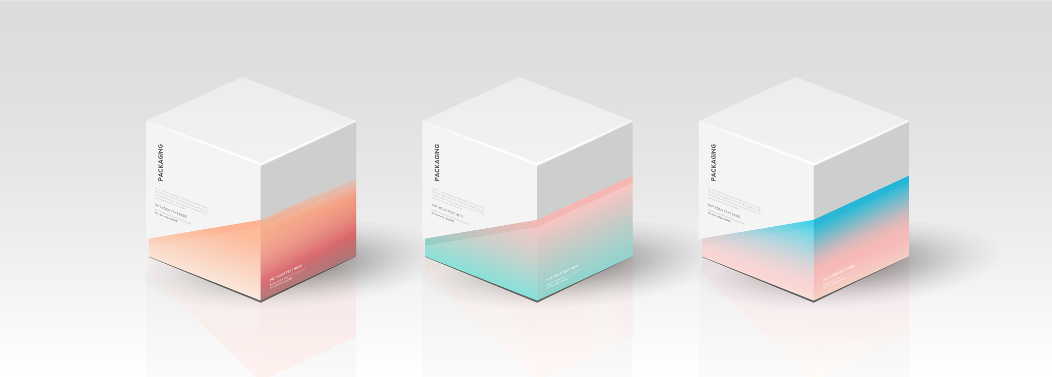 box packaging template for product design