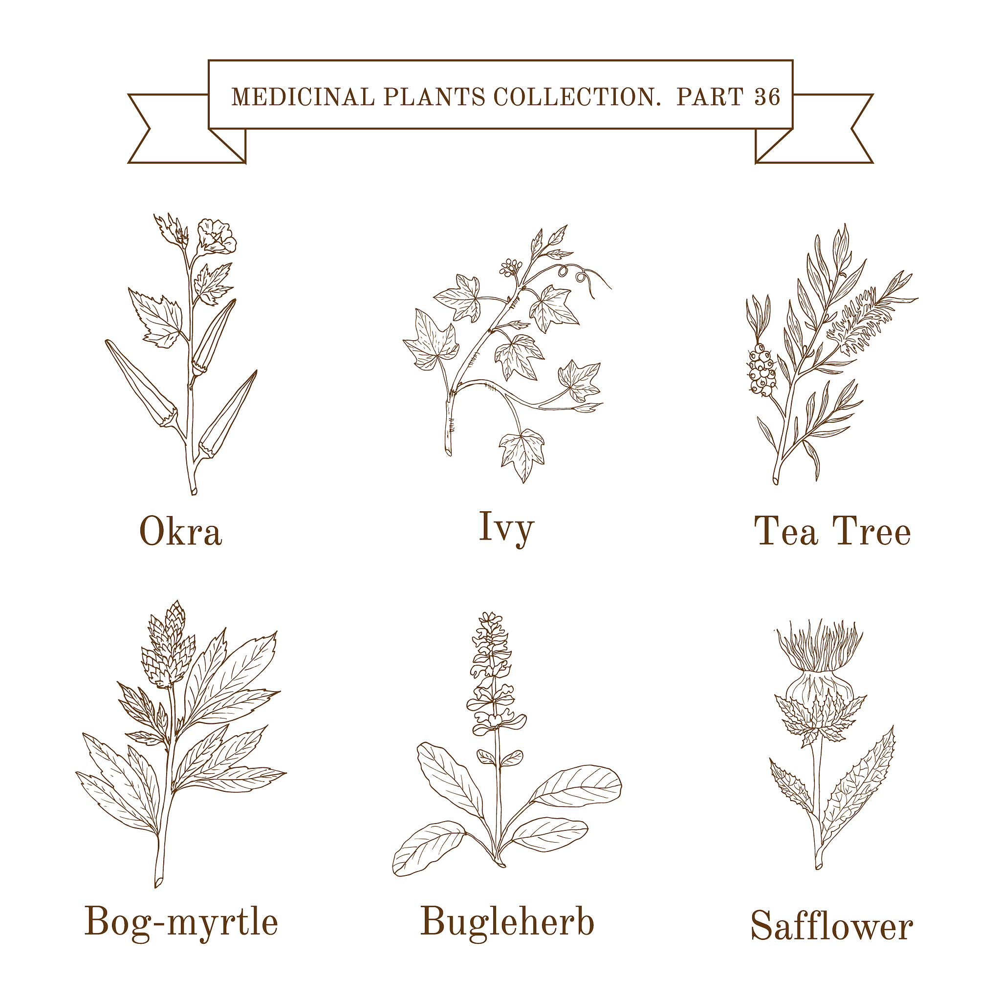 Grassroots Democracy: Definition, Importance, and Examples