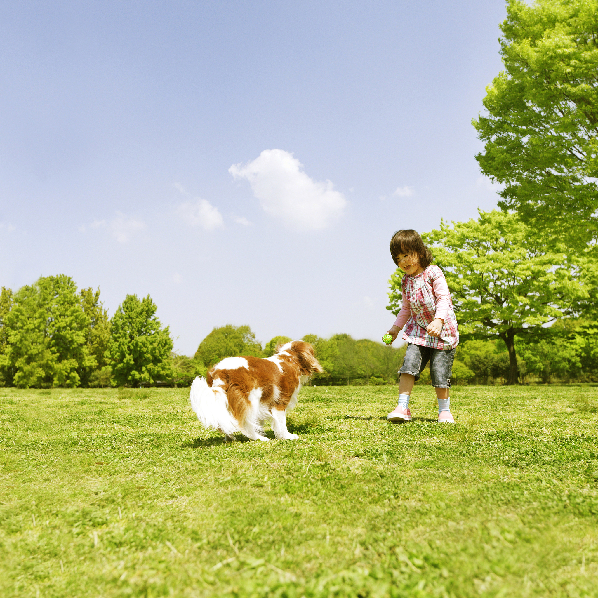 用DALL-E认识的文字描述一只小狗在草地上玩耍的画面