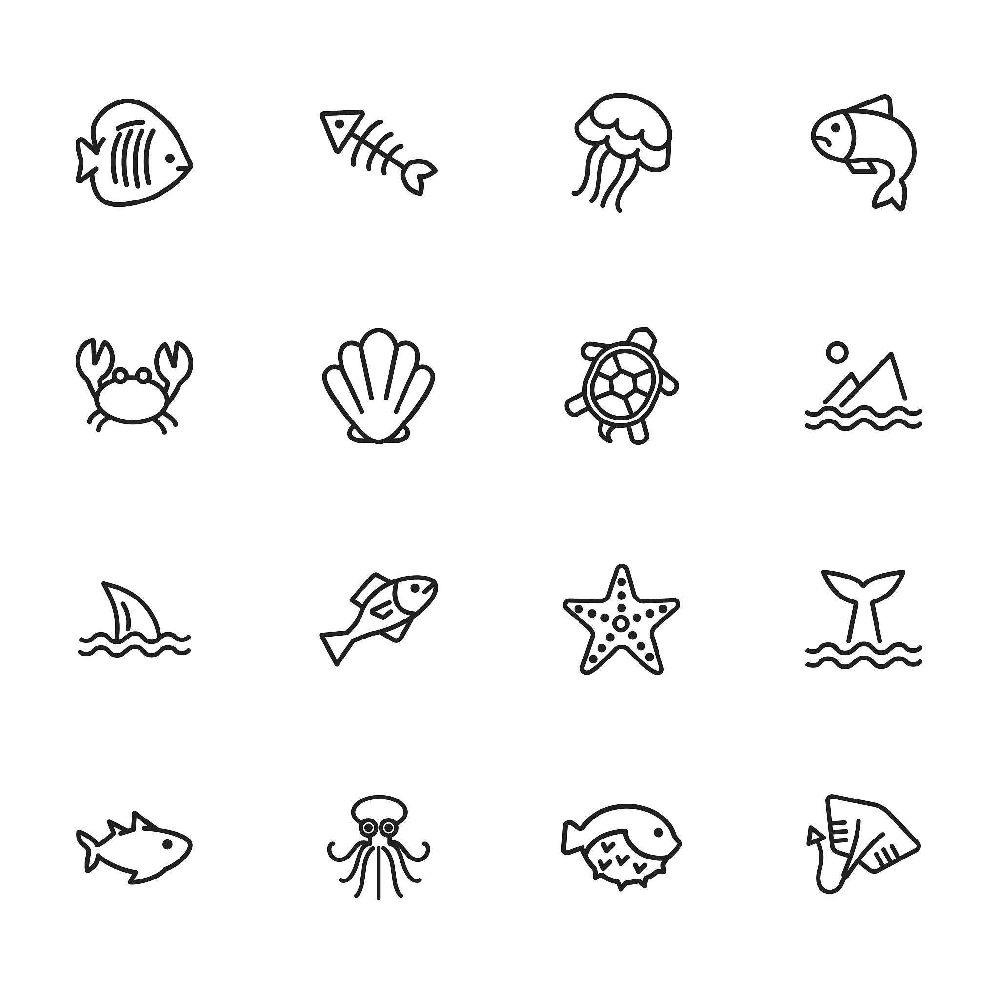 海豚的智力水平：与人类相比如何？