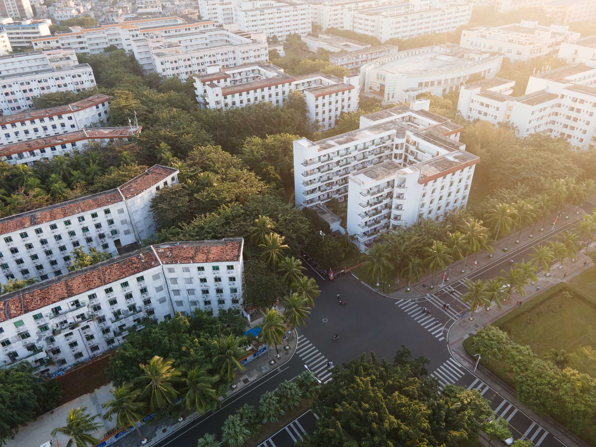 海南大学交通运输专业怎么样？探究交通规划领域