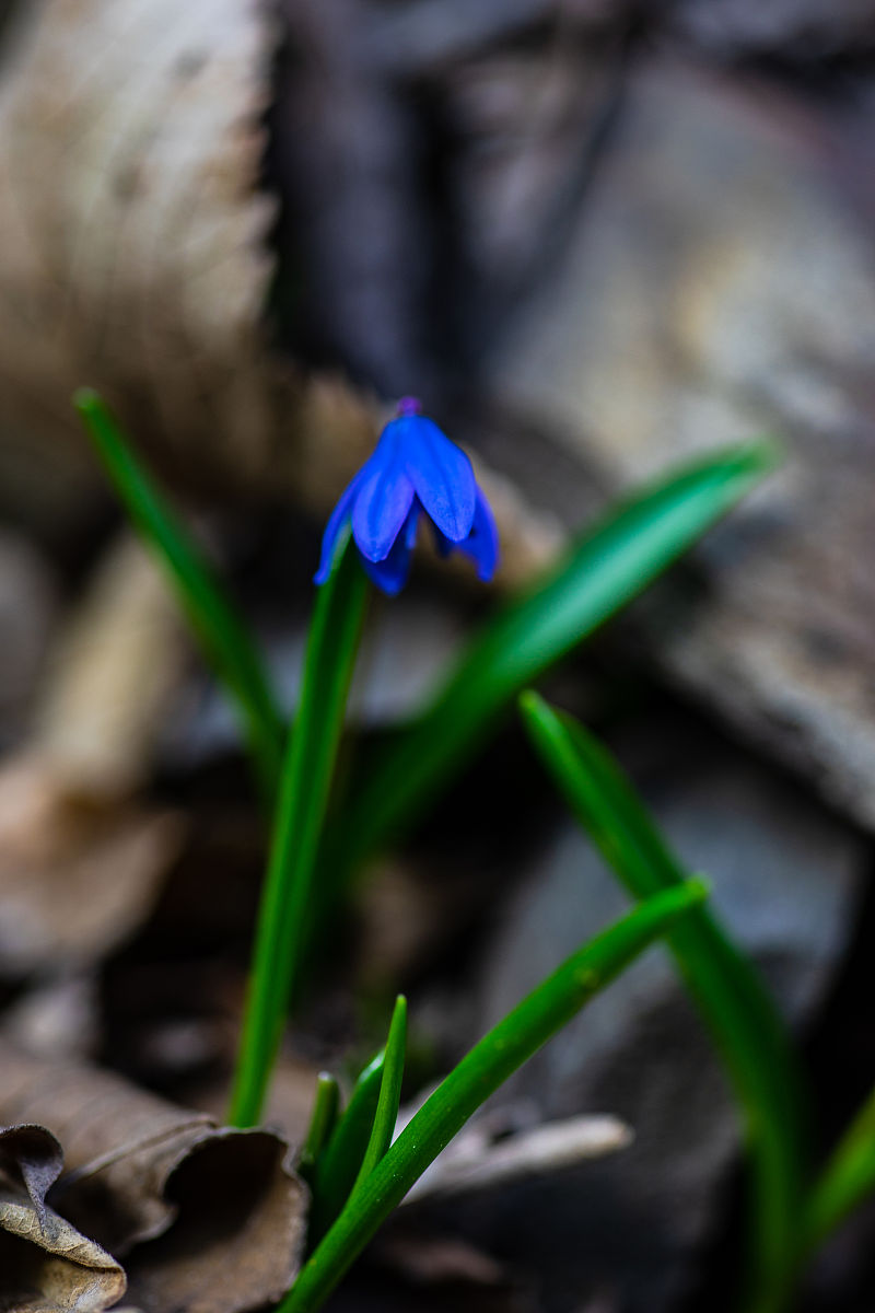 春暖花开