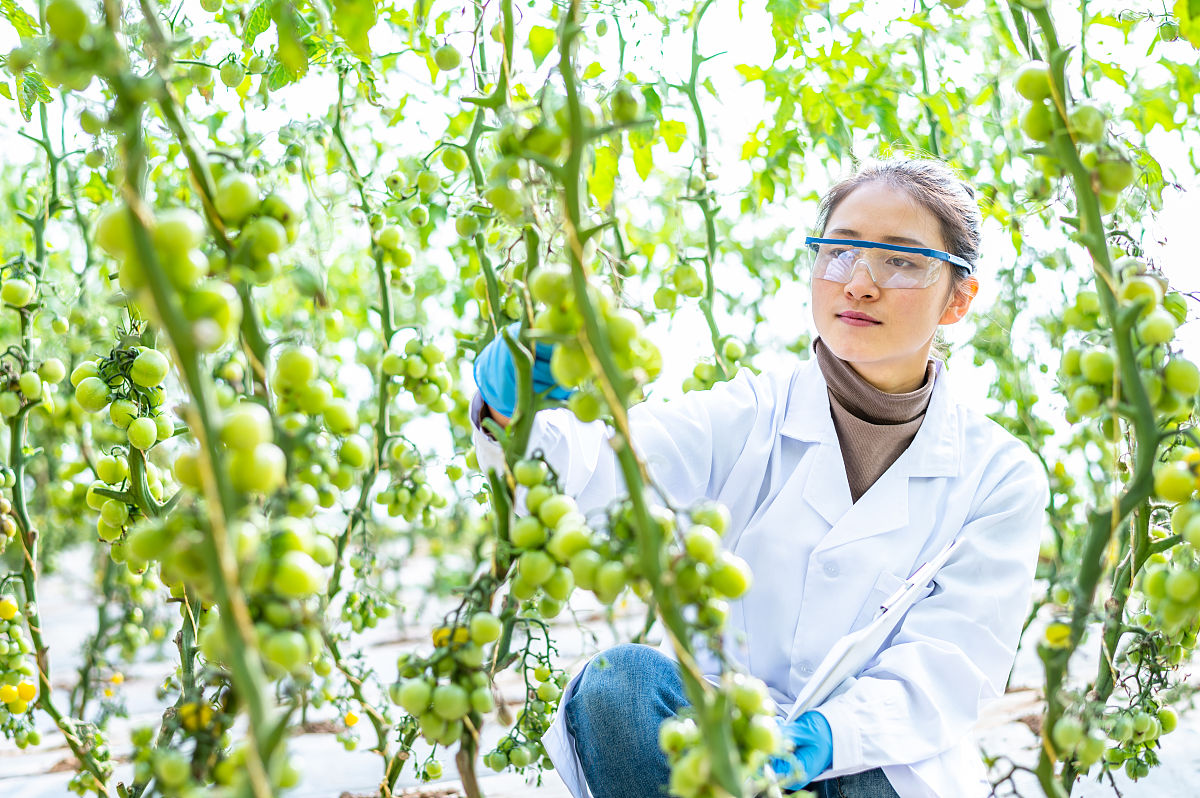 阳曲县农业技术学校畜产品生产专业怎么样？就业前景如何？