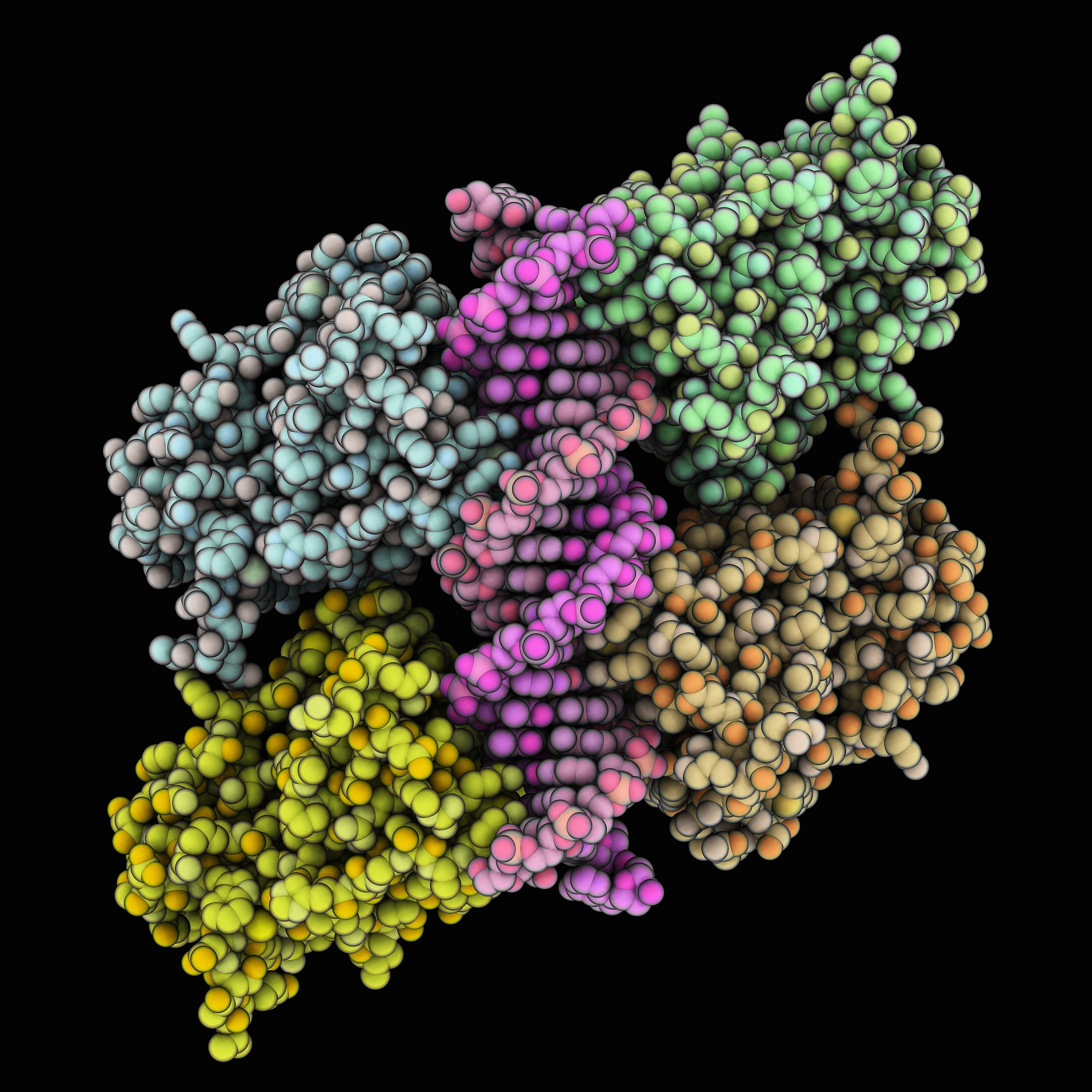 What are the function regions of Ti plasmid