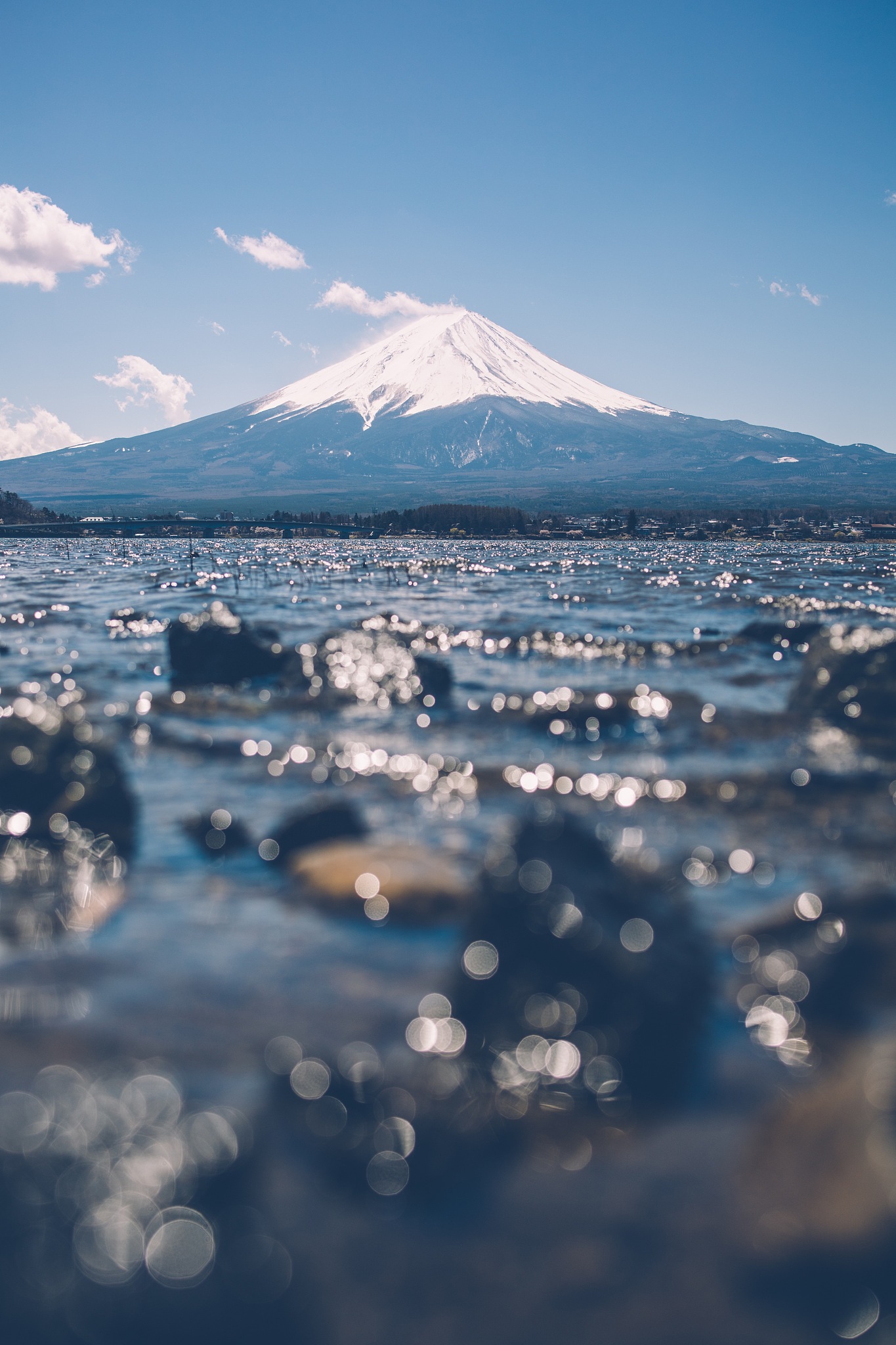 Journal of Sea Research: 国际海洋科学期刊 - 发表和交流研究成果的平台