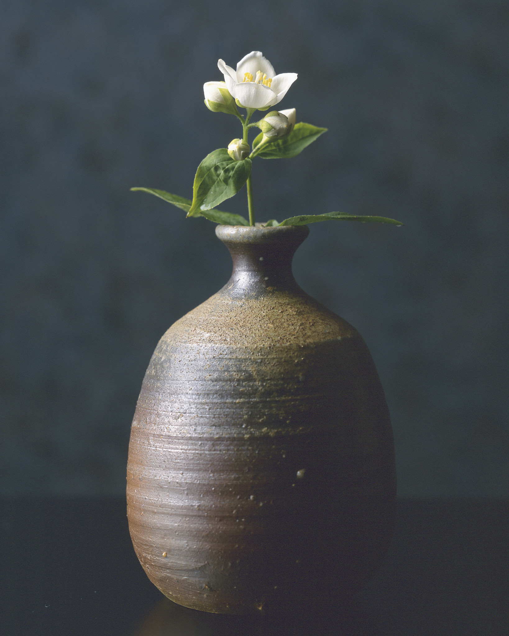 Vase: The English Translation for 花瓶