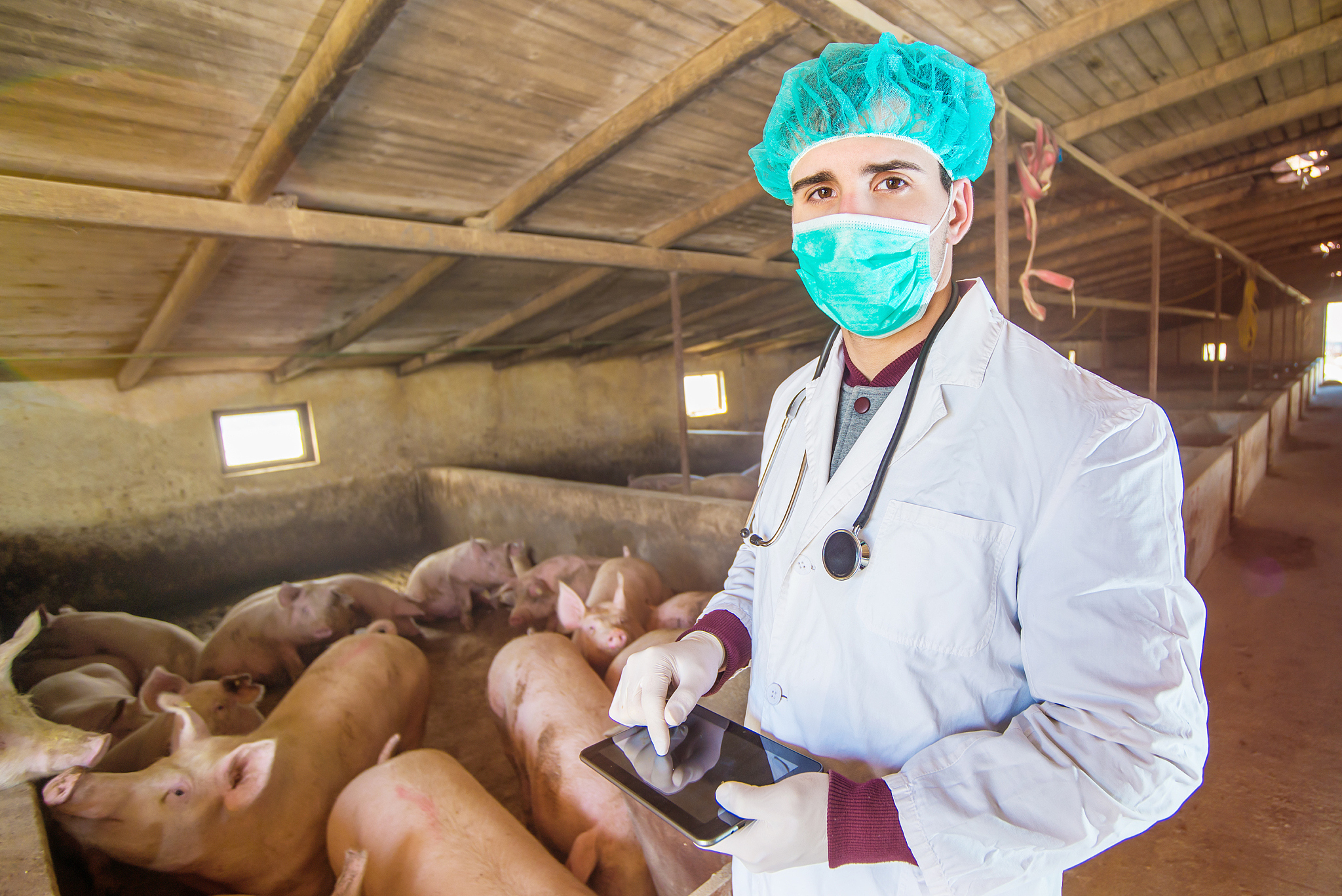 畜牧兽医专业就业前景分析：未来发展趋势和就业机会