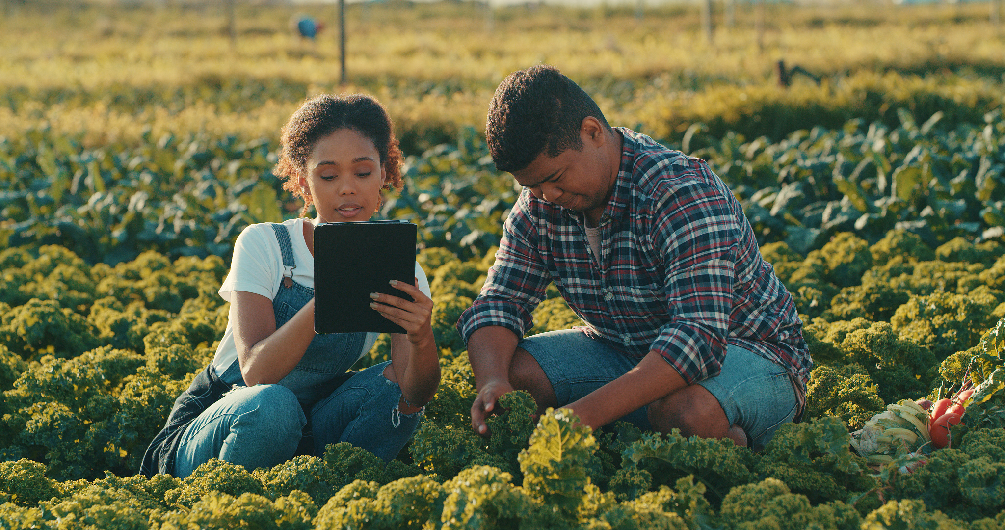 云南曲靖农业学校五年制大专招生咨询电话 | 报名入口