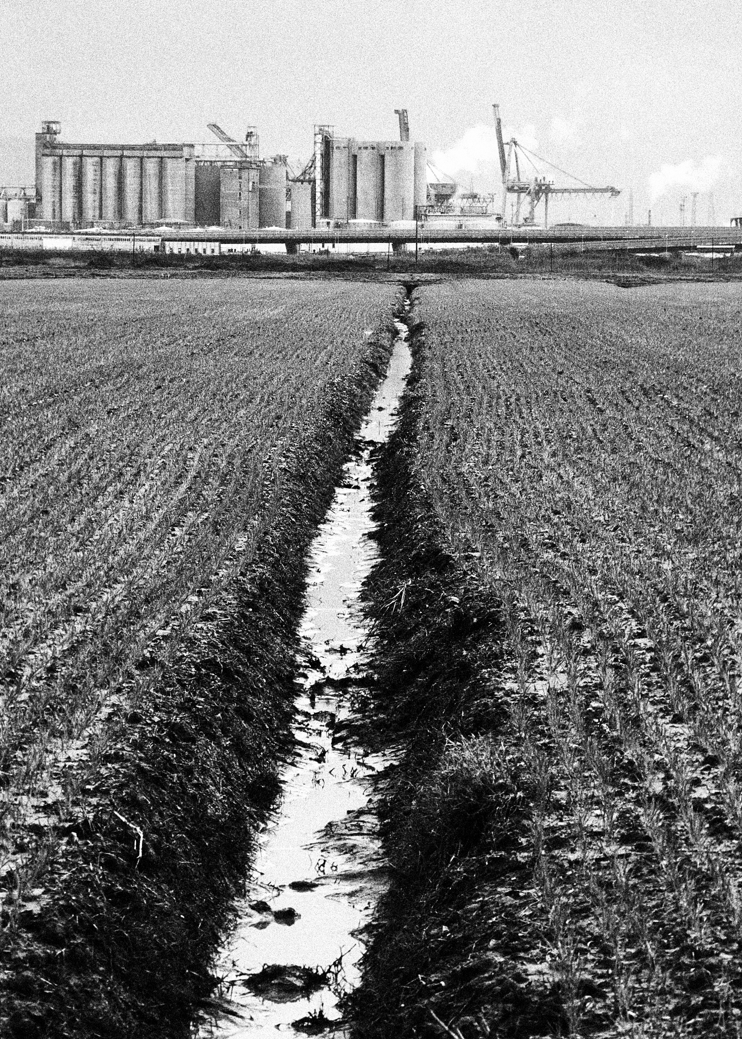 甘肃能源化工职业学院五年制大专收往届生吗