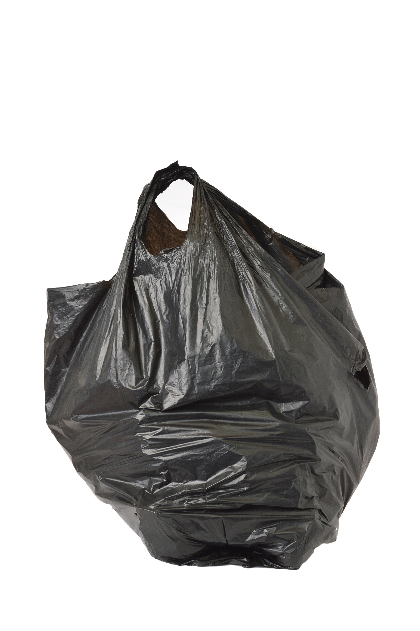 what-is-the-purpose-of-plastic-bag-payment-about-1000-words