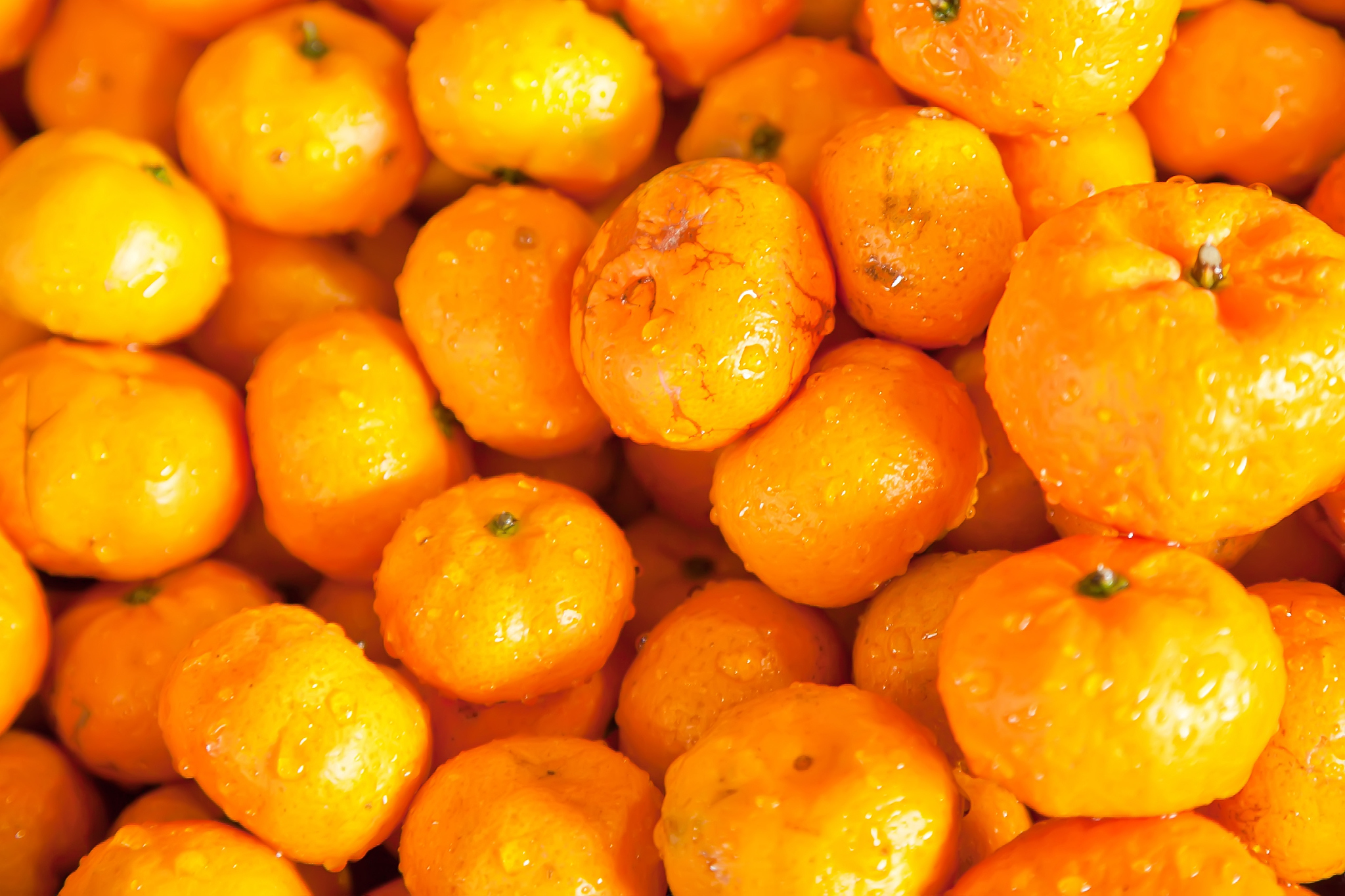 ripe oranges