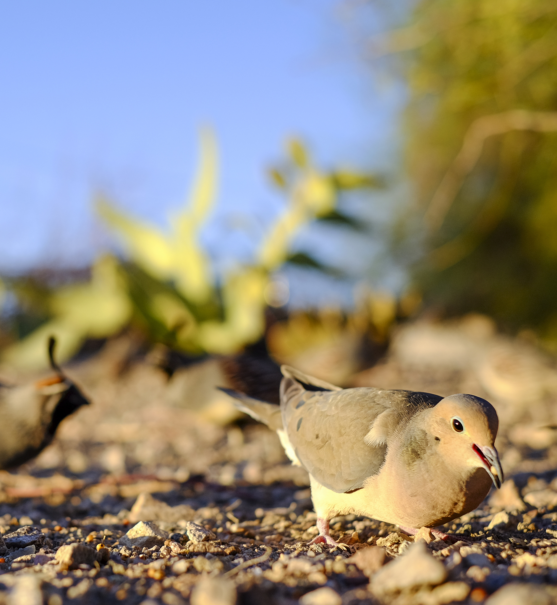 Situasi Dunia Saat Ini: Tantangan dan Peluang