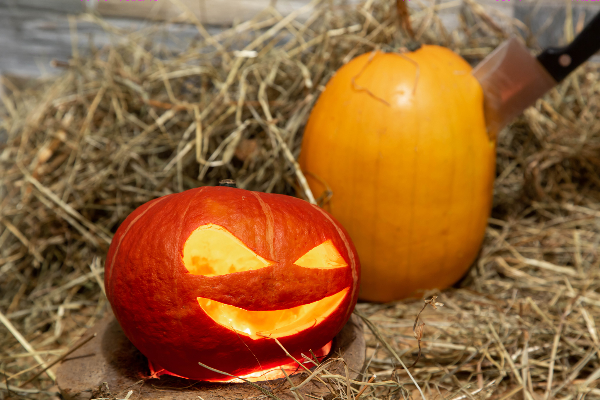 two halloween pumpkins lie on a hay against the background of a 