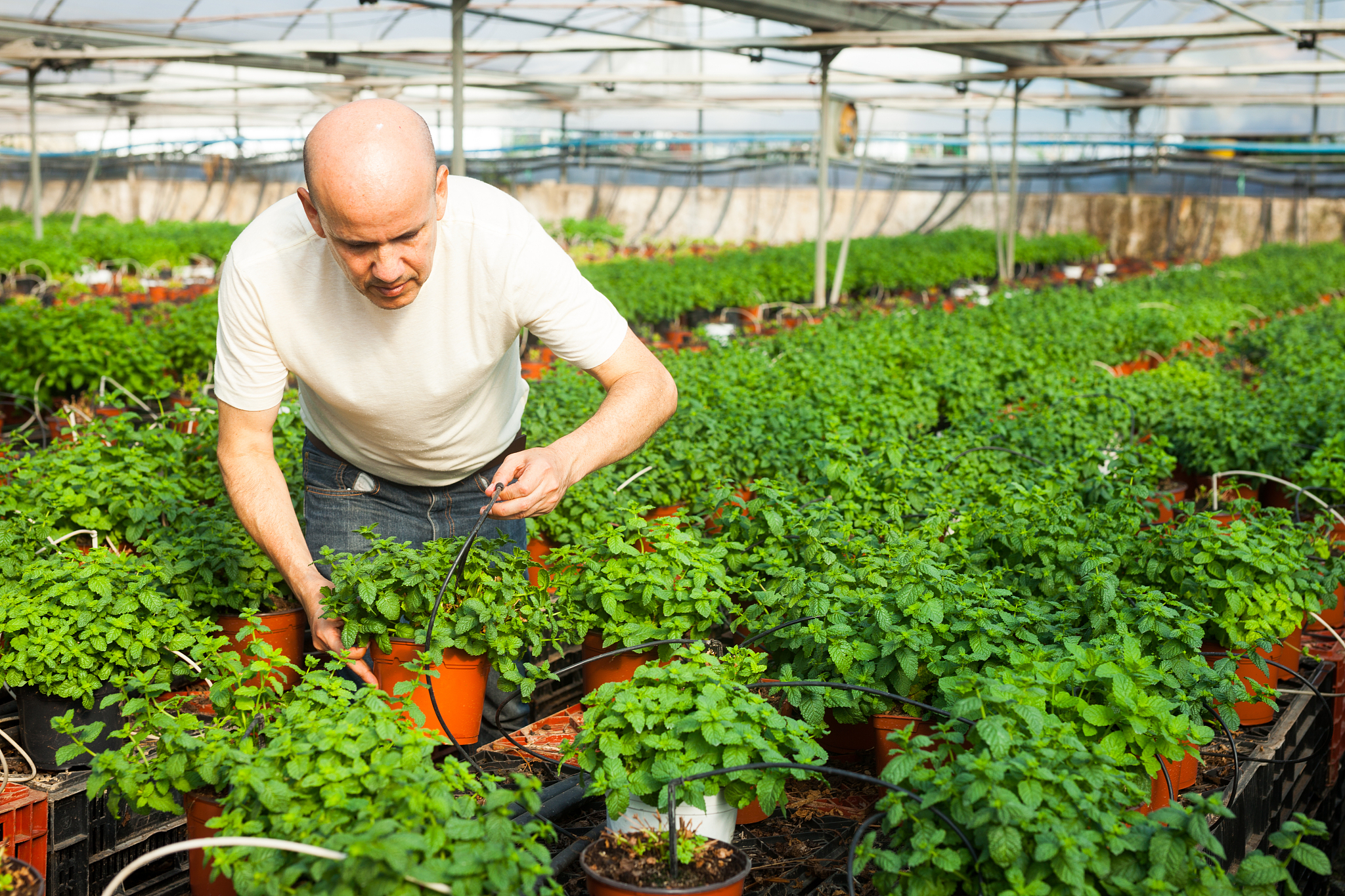 舟山航海学校生态农业技术就业前景好不好