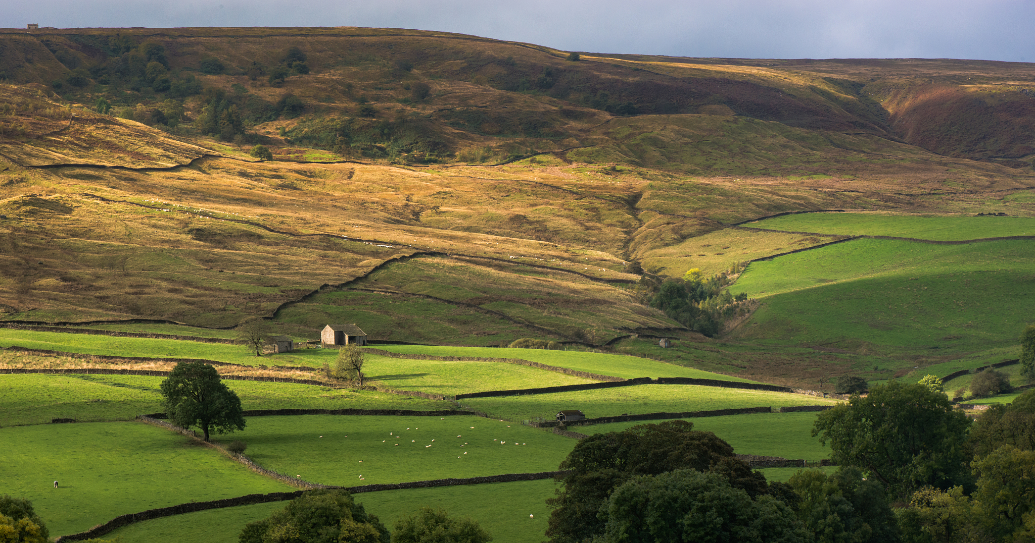 the dales