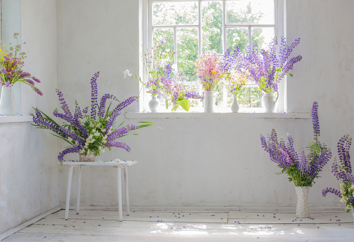 成都棠湖科学技术学校2019年汽车美容与装饰专业招生简介