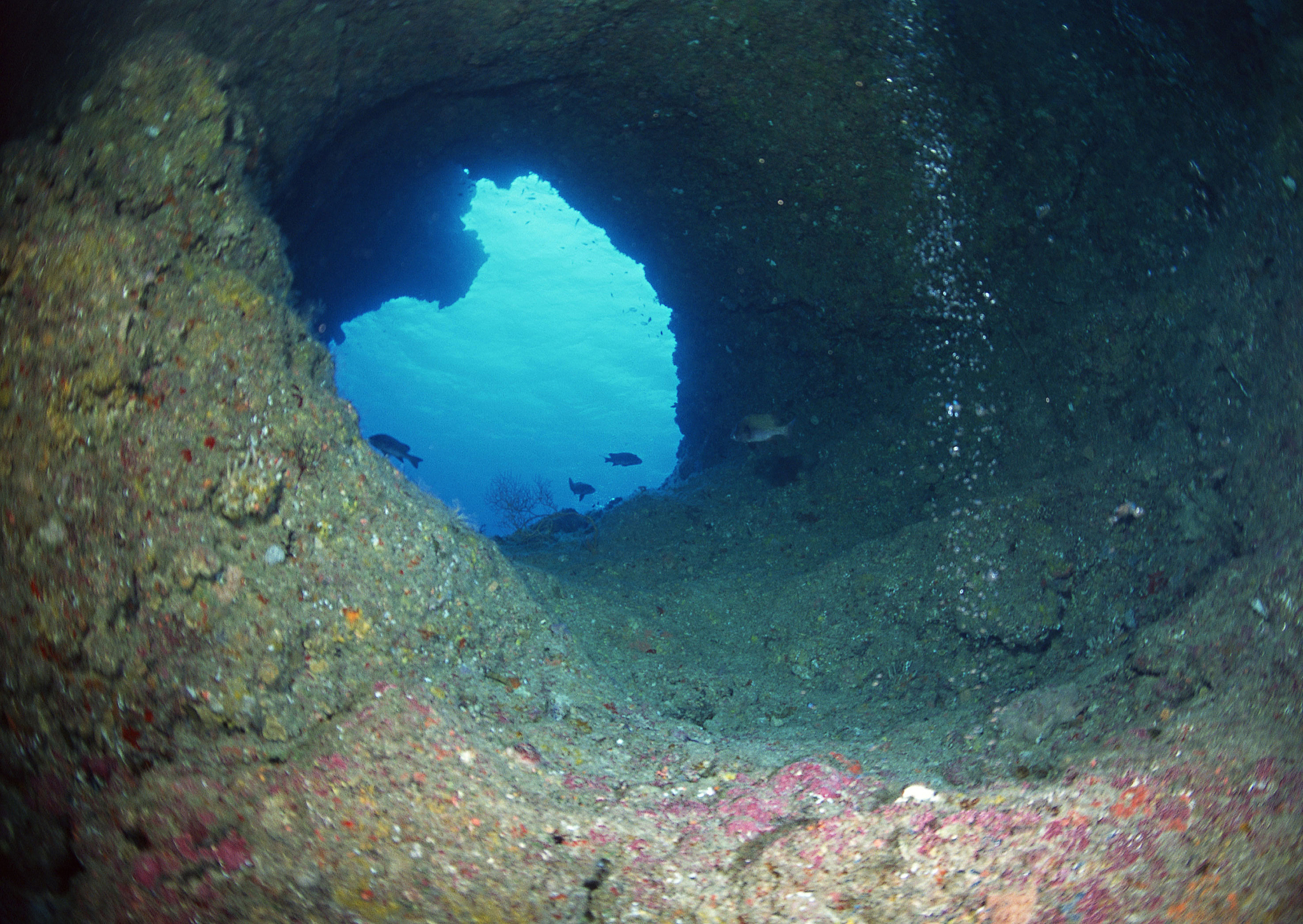 bottom of sea