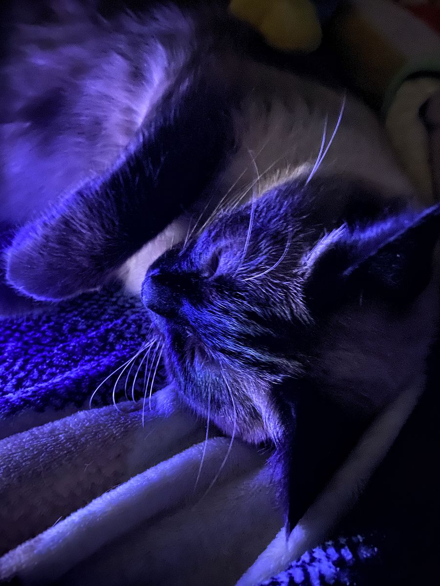 高中生如何高效睡眠