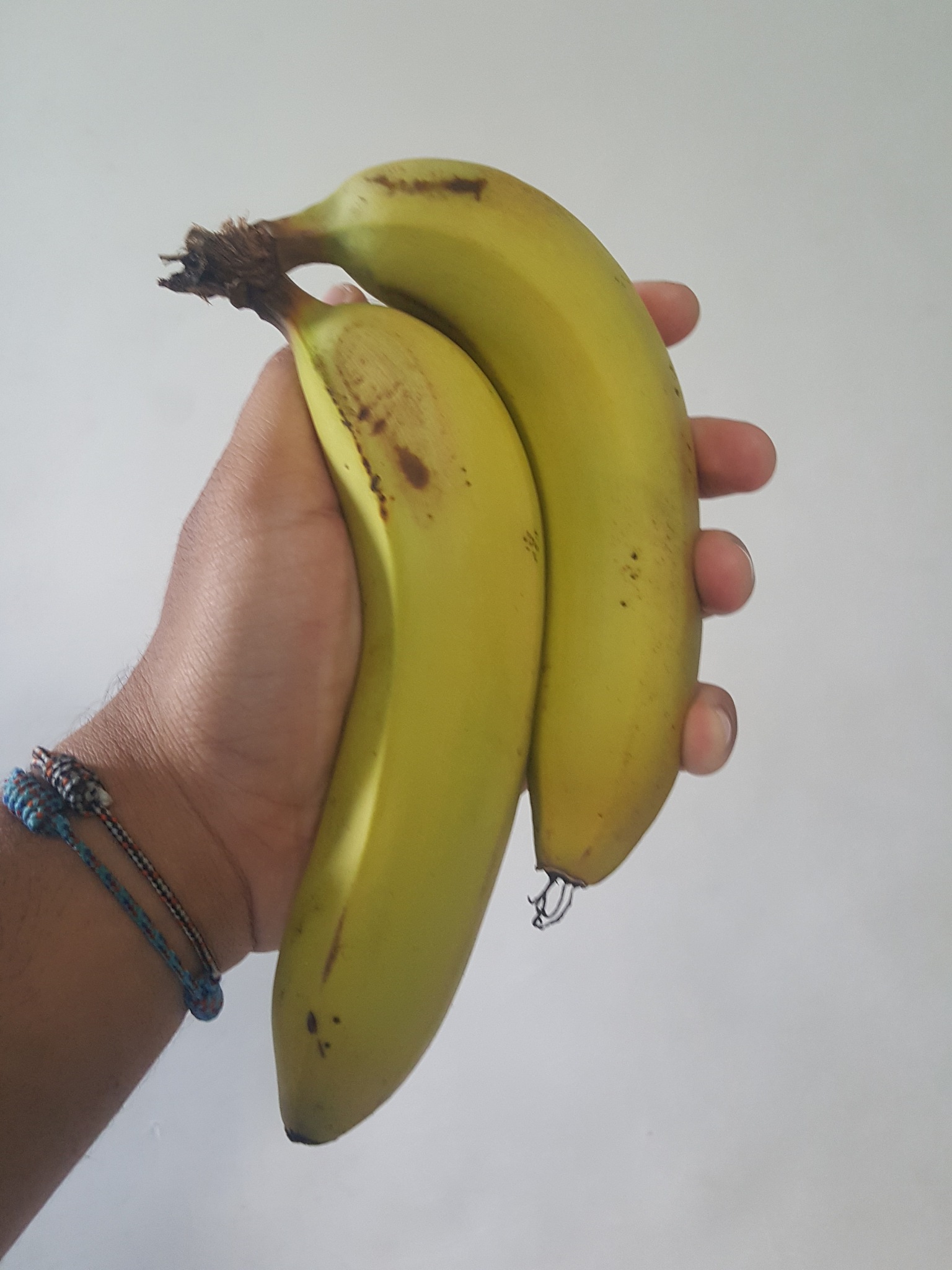 香蕉为什么不变黄？原因解析及解决方法