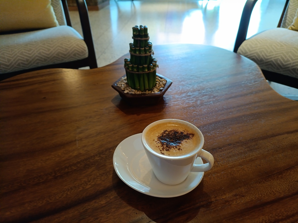 令人惊喜的咖啡体验：浓郁香气、丝滑口感、完美平衡