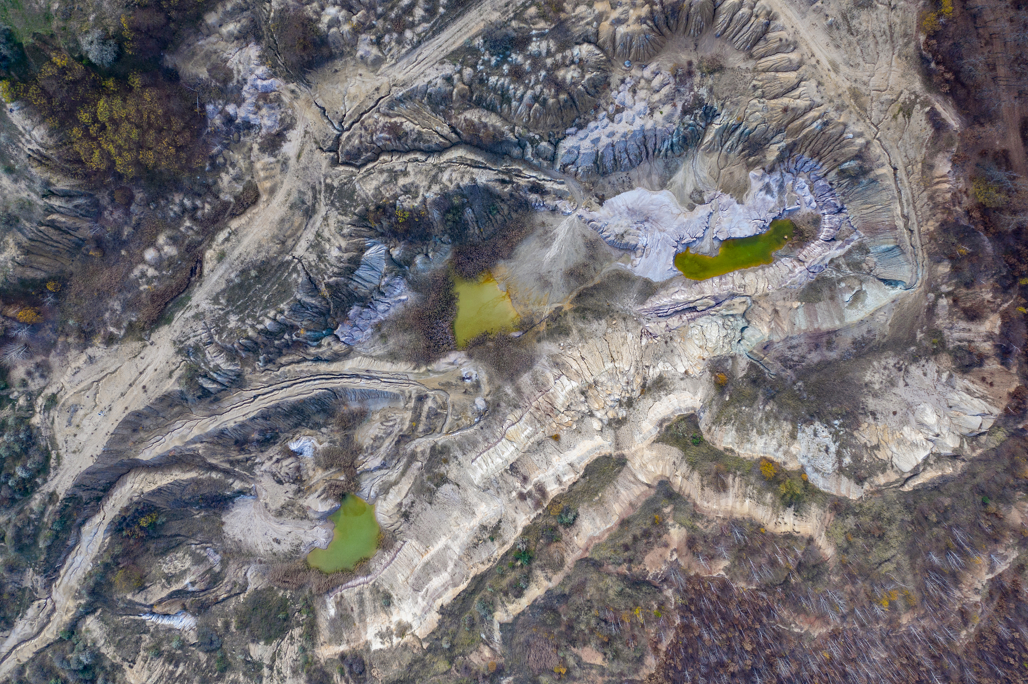 卫星监控去哪可以看