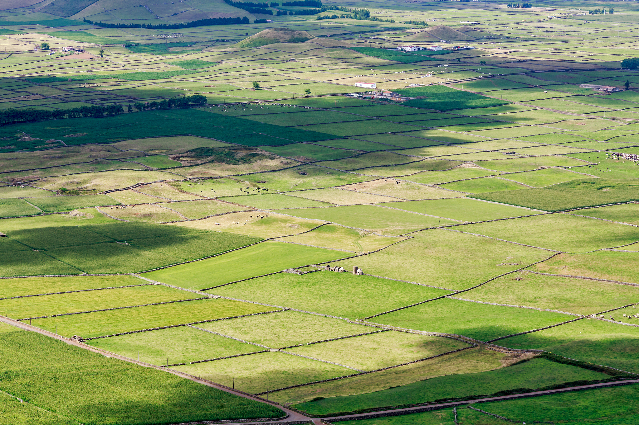 aerial view of agricultural field