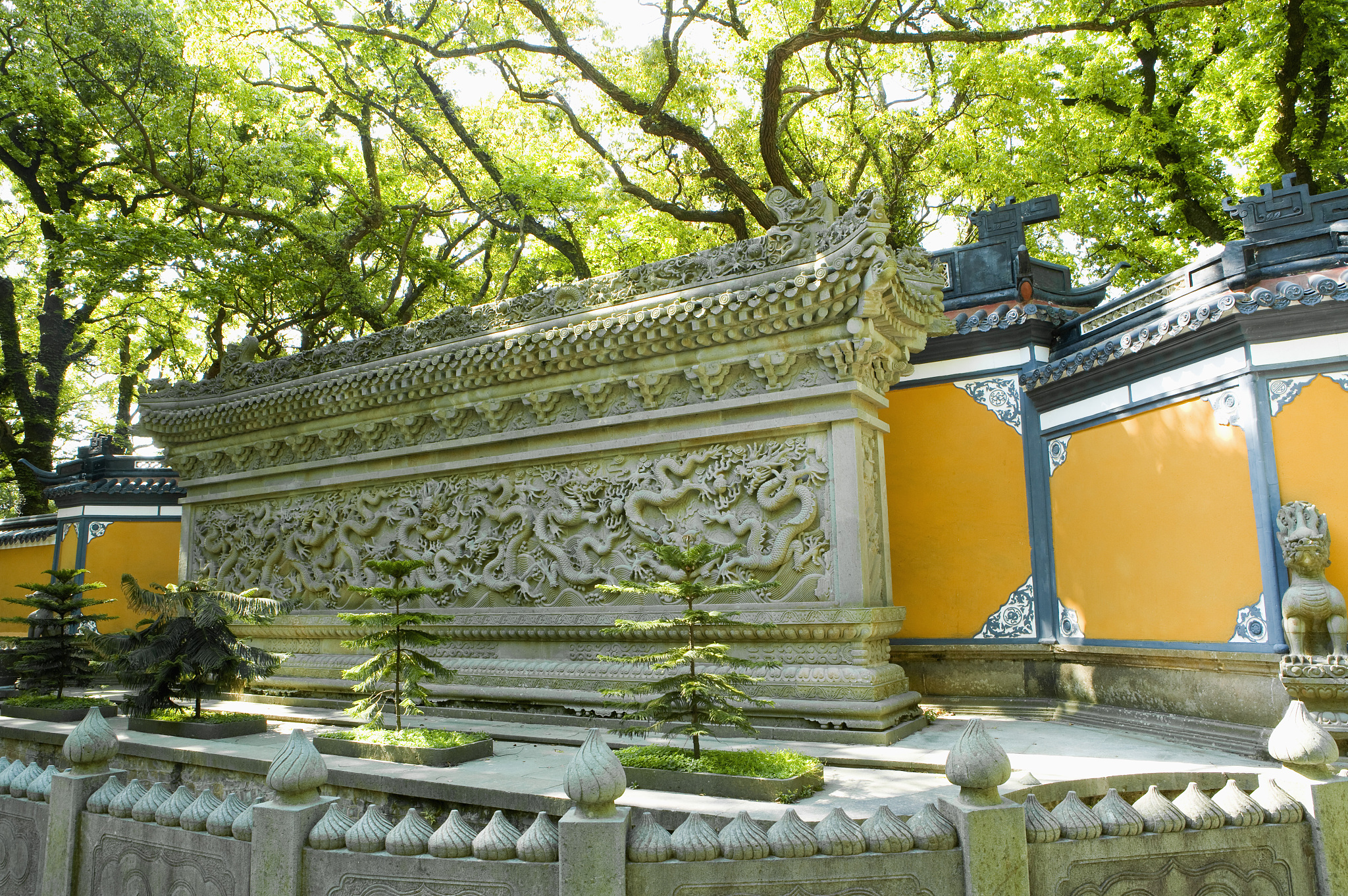 中国,浙江,普陀山,法雨寺景区,法雨禅寺,九龙壁,