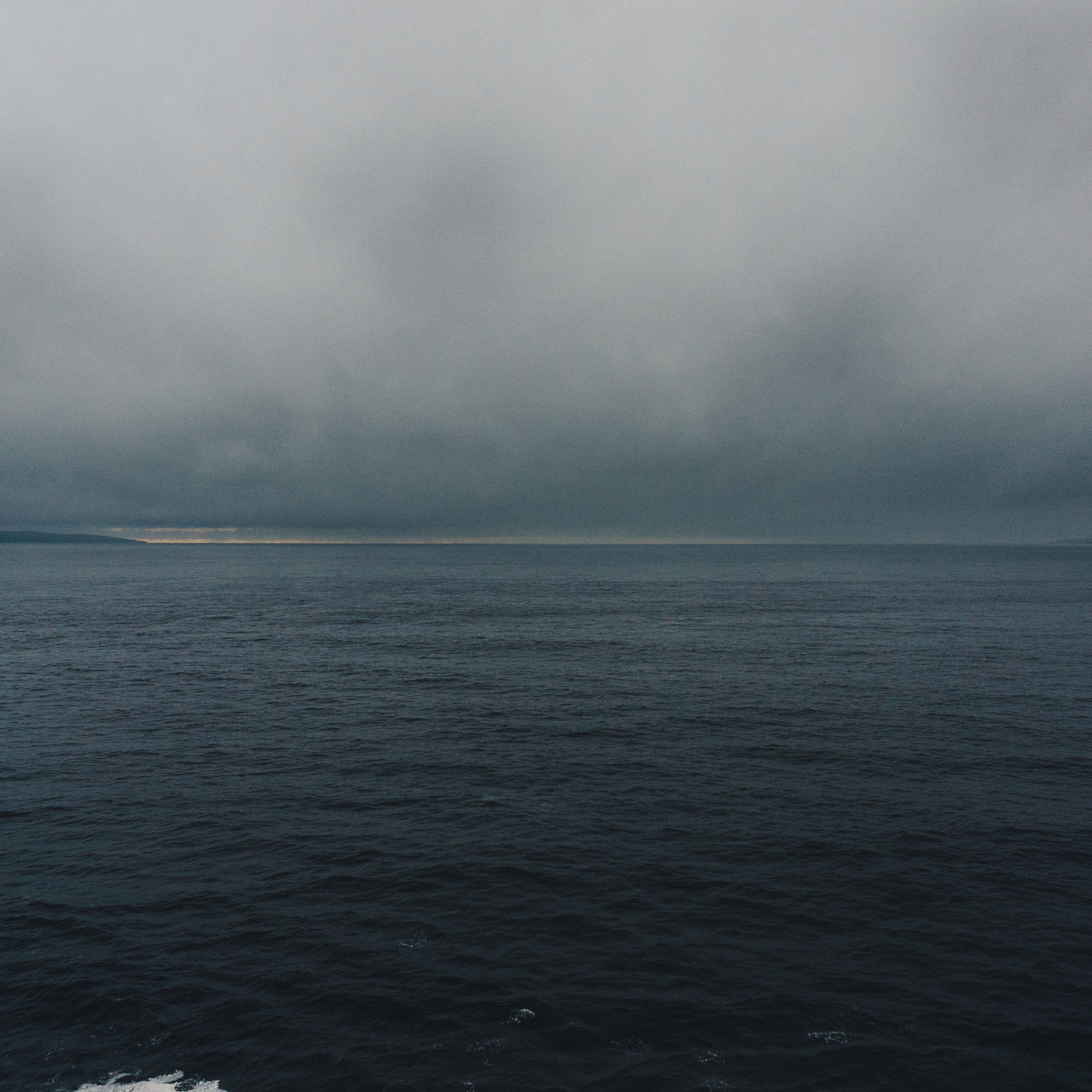 大海的悲鸣：生命交响曲