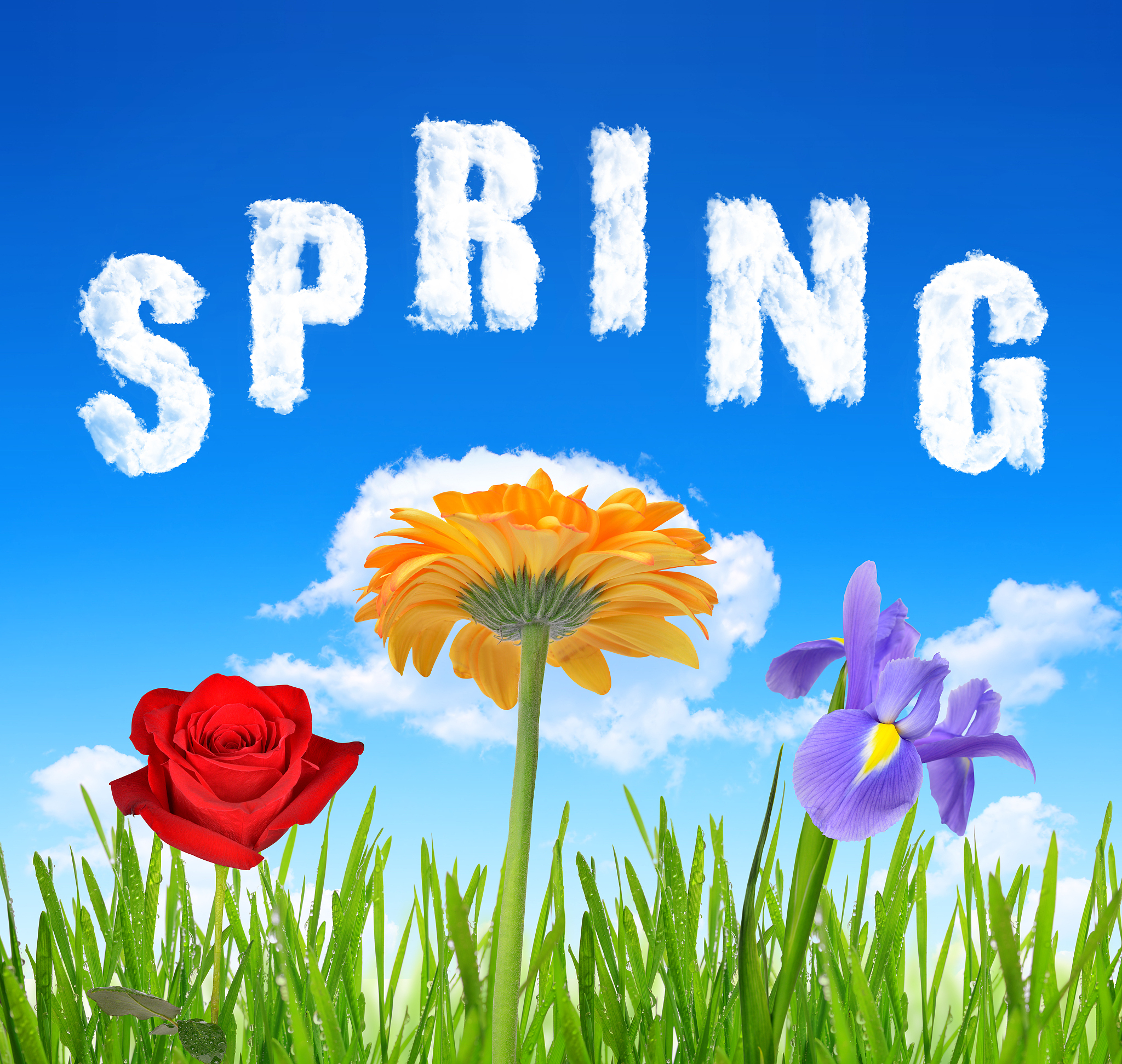 Read the following topic sentence carefully and then develop it into a paragraphFriendship is often compared to a flower