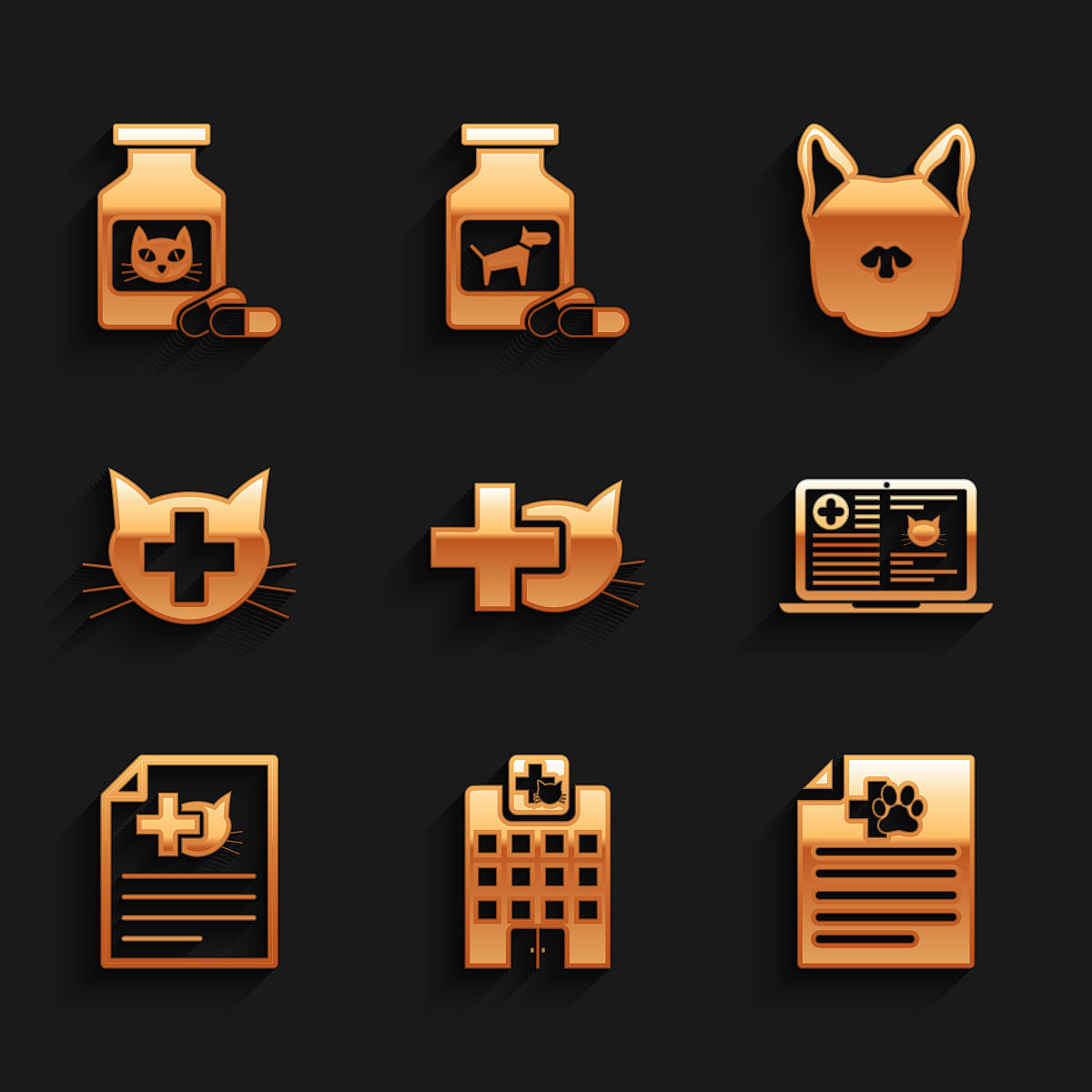 柳州医学高等专科学校附属中等卫生学校位置在哪儿