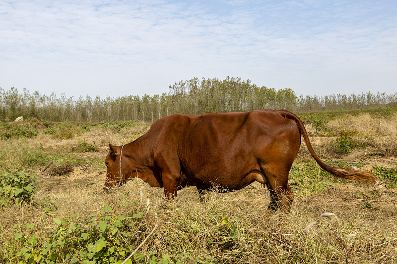 临沂汽车维修学校怎么样？教学质量深度评测