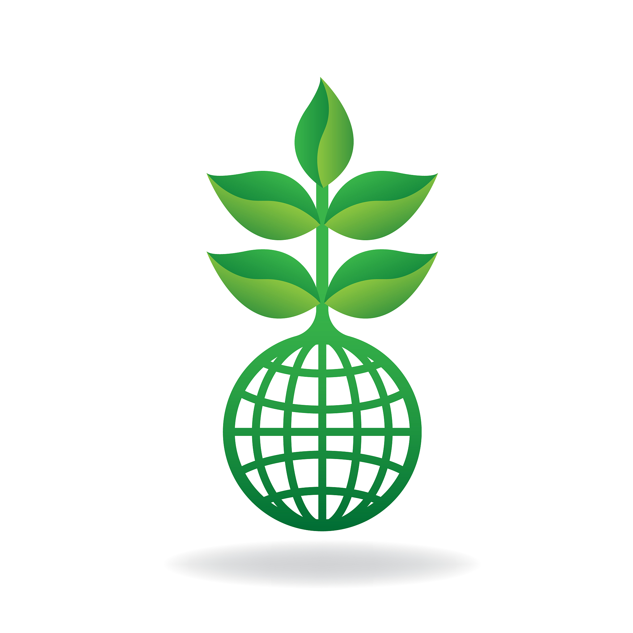 world environment