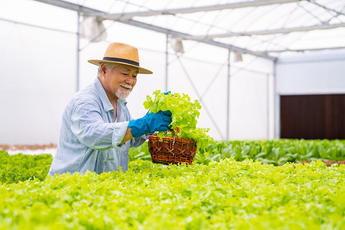 有机农业对果蔬贮运害虫管理的影响：减少害虫数量、保护环境