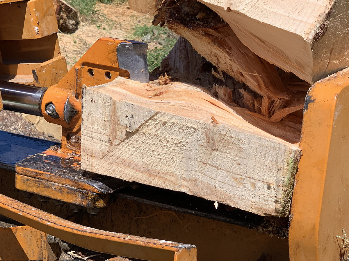 七年级下册生物第三章第一节知识点：细胞的结构和功能