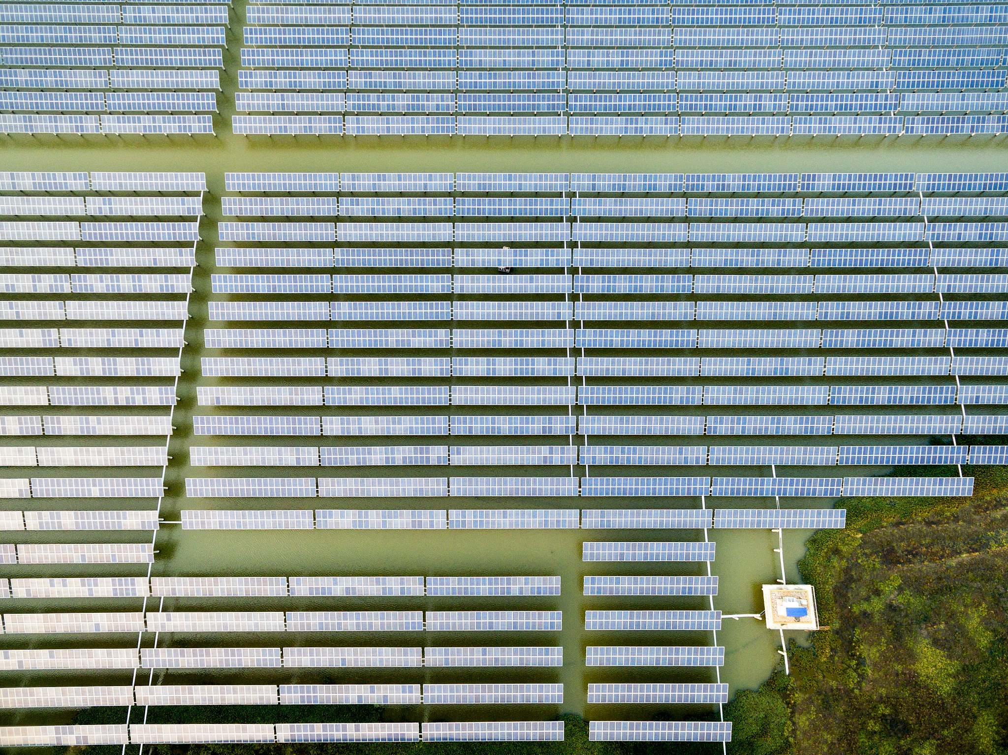 阳光工厂化养殖：全球案例及应用前景