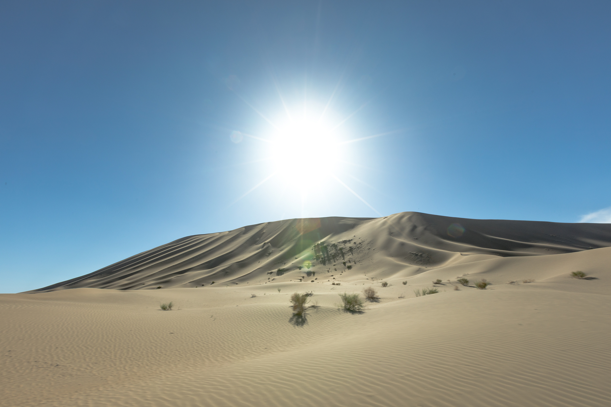 2022金乡县职业中等专业学校招生专业及相关信息