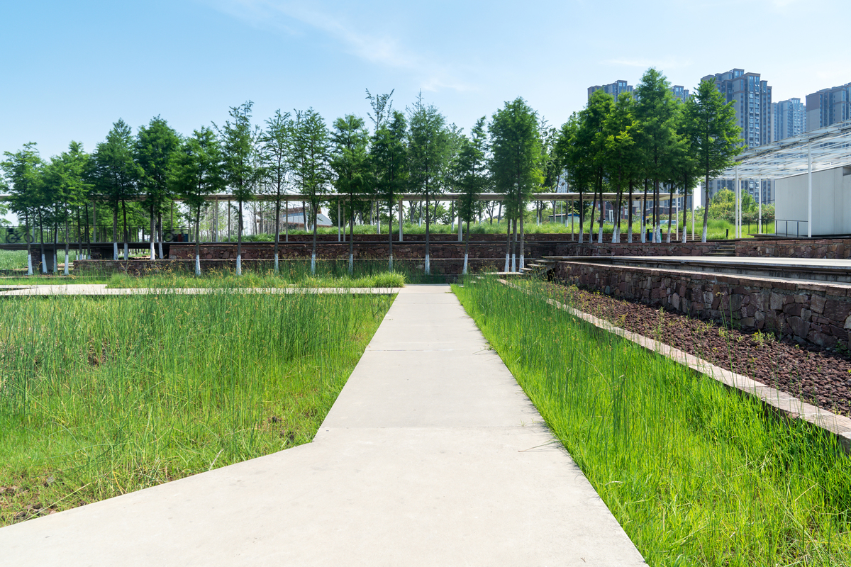 郊野公园设计六大原则：打造自然和谐的休闲空间