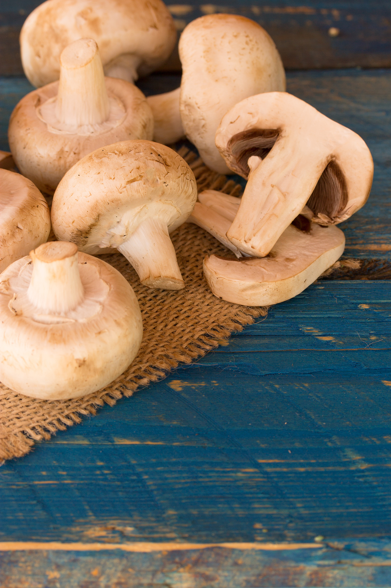 平菇怎么算坏了，