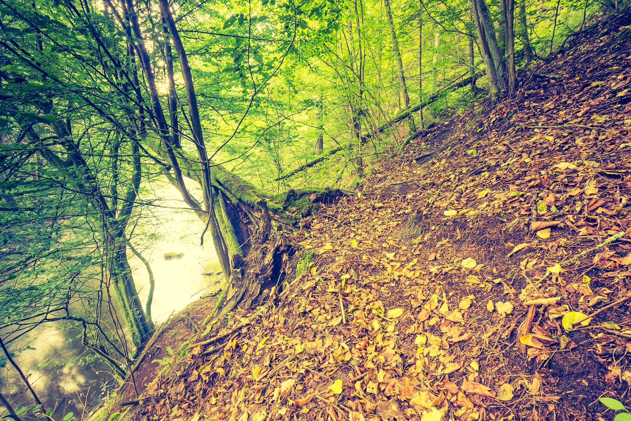 山西艺术职业学院摄影摄像技术专业怎么样